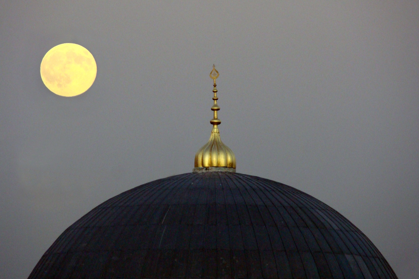 Orhan Erkut'un fotoğraf çalışmalarından 13